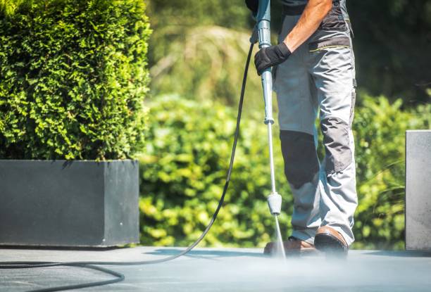 Best Sidewalk and Walkway Cleaning  in Ely, IA