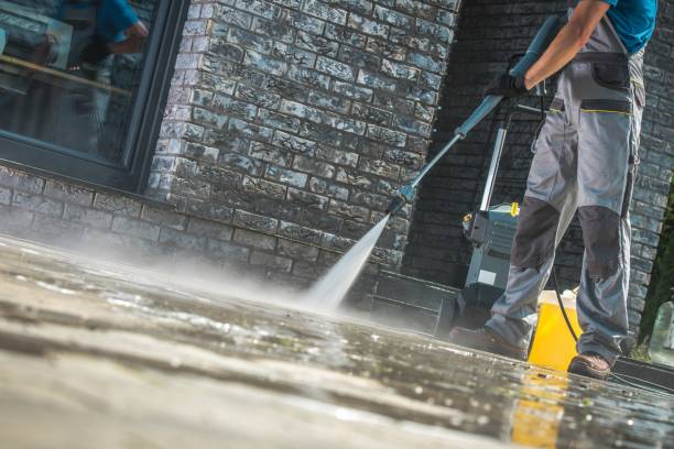 Best Gutter Cleaning  in Ely, IA