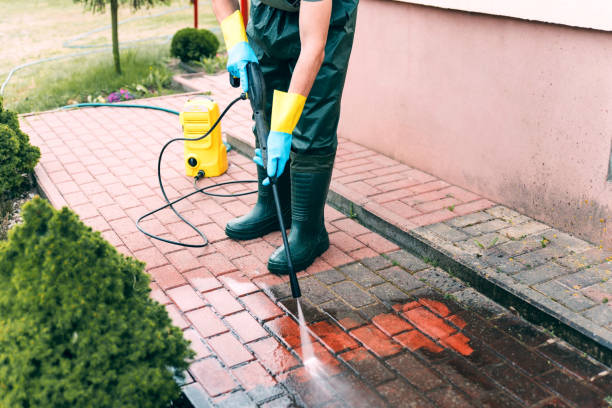 Best Factory Floor Cleaning  in Ely, IA