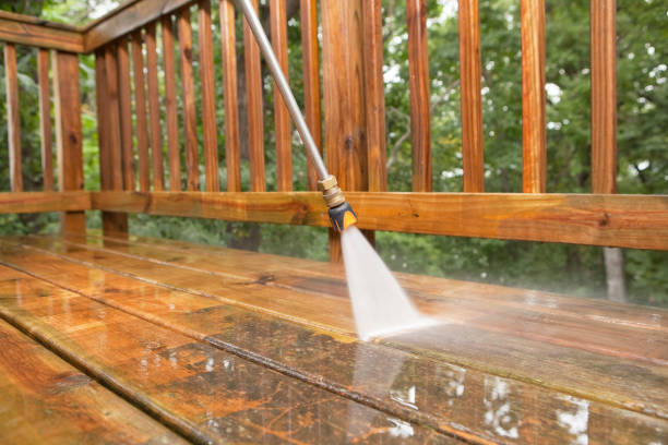 Best Fence Cleaning  in Ely, IA